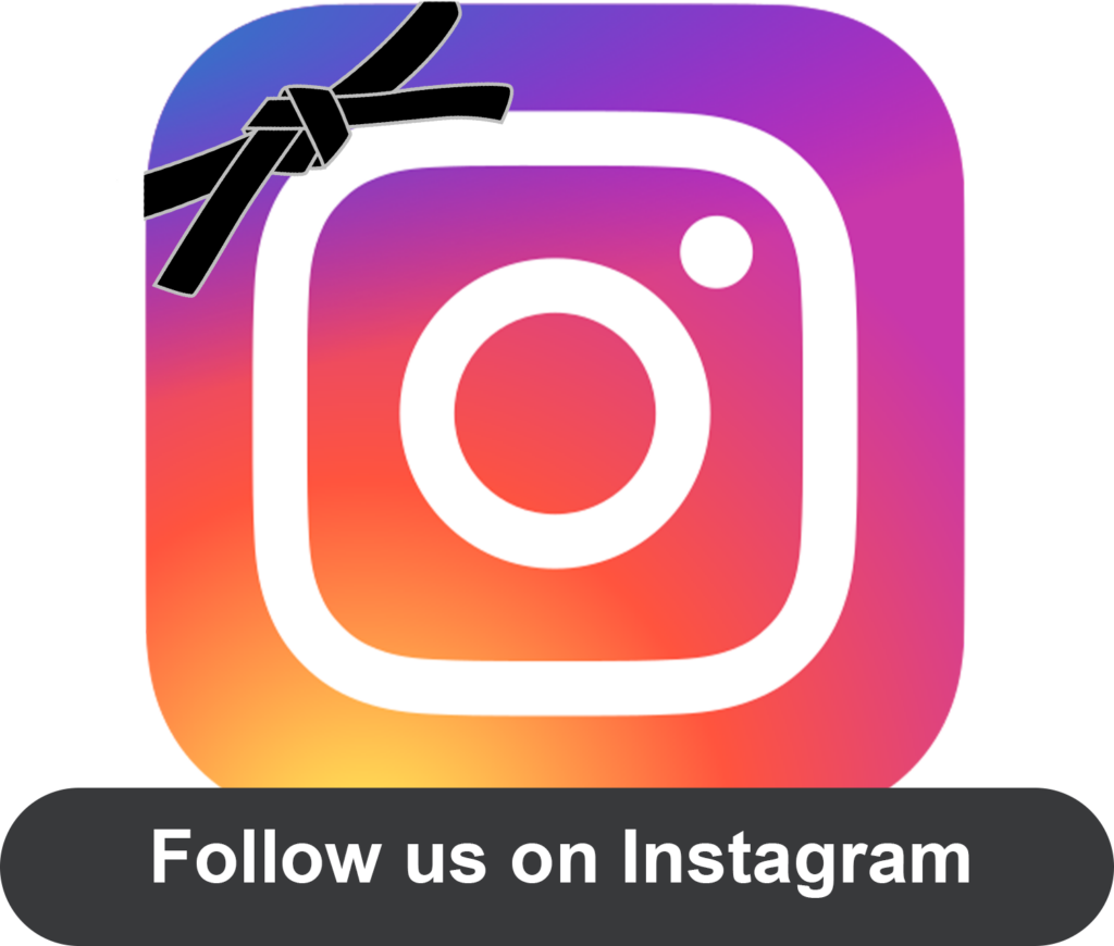 Like us on Instagram button