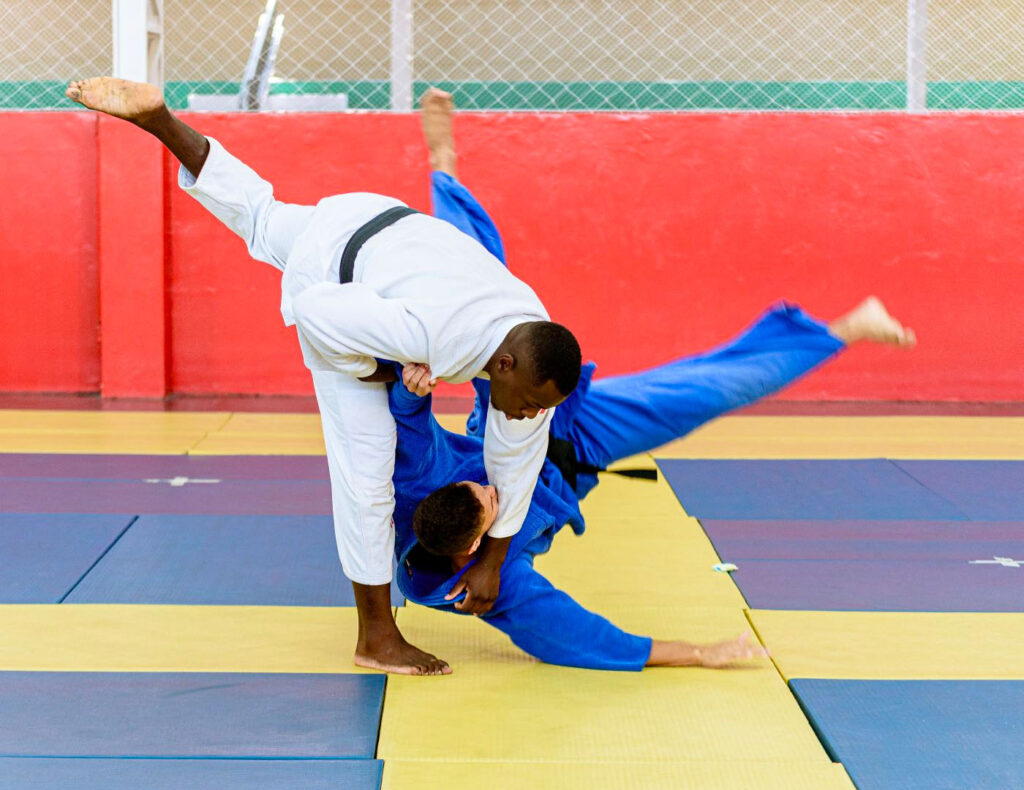 What is judo 1